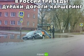 Приколы для заядлых автомобилистов