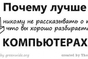 Почему лучше не говорить, что вы разбираетесь в компьютерах (11 фото)