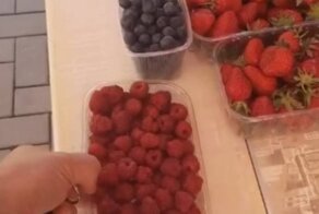 "Вот эта малина - тысячу?": турист в Сочи изумился местным ценам