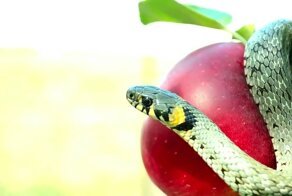 В российском городе появилась скульптура дьявола