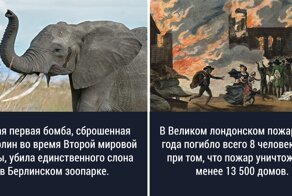 25 странных и любопытных исторических фактов