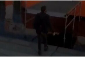 Иногда стоит прислушиваться к советам друга