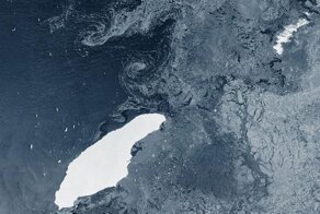 От Антарктиды откололся самый гигантский айсберг в мире