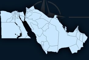 Почему стоит опасаться появления ближневосточного "NATO"