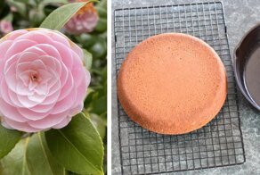 20 идеальных фото, которые порадуют ваши глаза