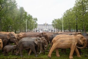 Стадо слонов у Букингемского дворца