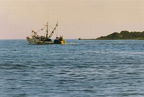 Гиперреалистичные рисунки (31 фото)