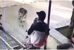 У рабочих выдался крайне неудачный день