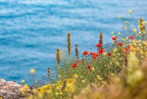 Какой Крым в мае?