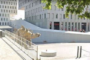 Застрял в динозавре: самая нелепая смерть