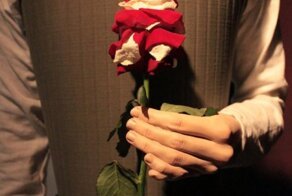 Шесть пальцев на руке Анны Болейн – правда или вымысел?