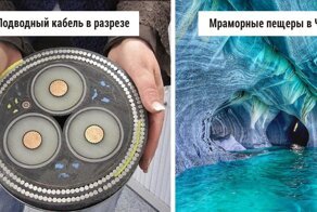 40 неожиданных фото, которые вас удивят