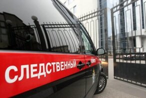 14-летней девочке, надругавшейся над школьницей, предъявили обвинение