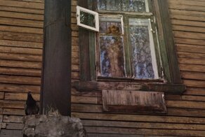 Родная провинция