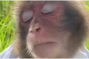 Когда вспомнил, что творил в ночь с пятницы на субботу