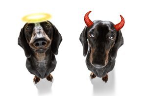 Где кроются истоки кинофобии?