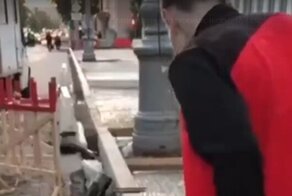 Любопытство не довело до добра