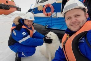 Экипаж российского ледокола спас собаку во льдах Карского моря