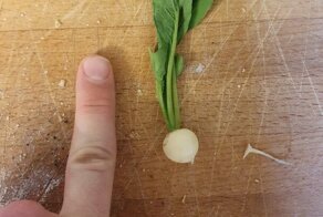 30 случаев, когда люди поделились снимками своего урожая