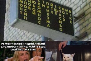 Прикольные мемы с котиком, которые зарядят позитивным настроем