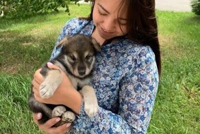 Девушка из Уфы вырастила волчицу, которую не приняла мать