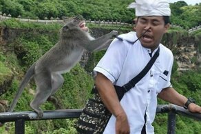 15 фотографий, которые поднимут ваше настроение за считанные секунды