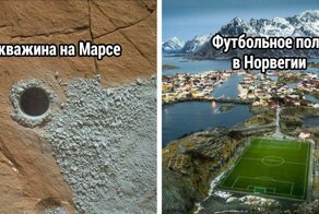 45 любопытных фото нашего удивительного мира