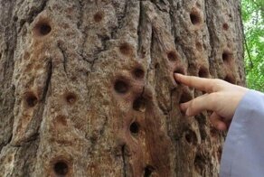 18 вещей, на которых время оставило неизгладимый след