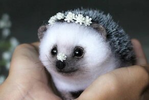 Мастерица создает чудесные и похожие на реальных зверей игрушки