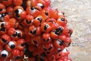 19 фотографий, которые вызывают мурашки и чувство тревоги