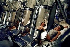 Как аквариумные рыбки облегчат космическую экспансию человечества