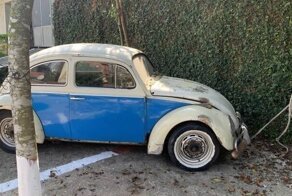 25 забавных снимков, которые помогут вам дожить до конца рабочей недели