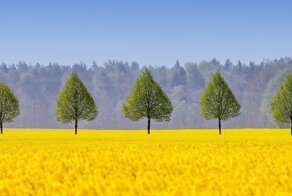 30 лучших фотографий с конкурса Px3 Photography Awards 2020
