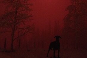 15 ошеломляющих фотографий, которые лучше любого Фотошопа