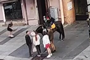 Скейтер в Петербурге получил копытом по голове после того, как решил проехать под брюхом лошади
