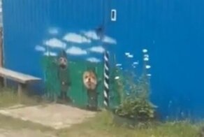 Граница на замке: cобаки подглядывают за прохожими через дырки в заборе
