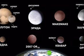 Двойная планета, "анти-Плутон", "планета-волчок" и другие занимательные объекты в нашей Солнечной системе