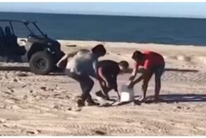 От судьбы не убежишь