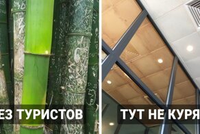 16 фотографий, которые доказывают, что всё в мире познаётся в сравнении