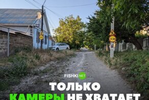 Свежая коллекция автоприколов
