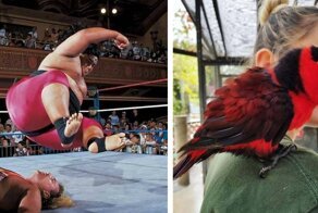 28 раз, когда фотографам удалось поймать идеальный момент