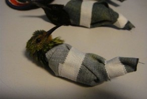 Перевозчик колибри задержан (5 фото)