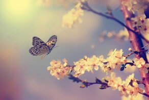 Почему так названа весна?