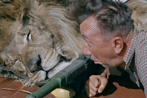 «Полосатый рейс»: кто стал жертвой съёмок?