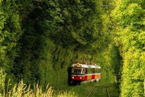 Красивые трамваи