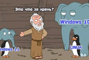 Windows 11: реакция соцсетей на новую операционку
