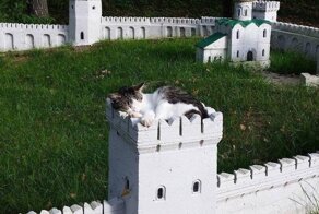 Нет, ваши глаза вас не обманывают, просто с реальностью что-то не так