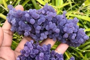 Предметы, которые на самом деле совсем не те, за кого себя выдают