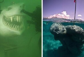 Мурашистое зрелище: 17 фотографий подводных объектов