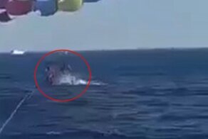 На курорте Красного моря акула выскочила из воды и откусила часть стопы парашютисту